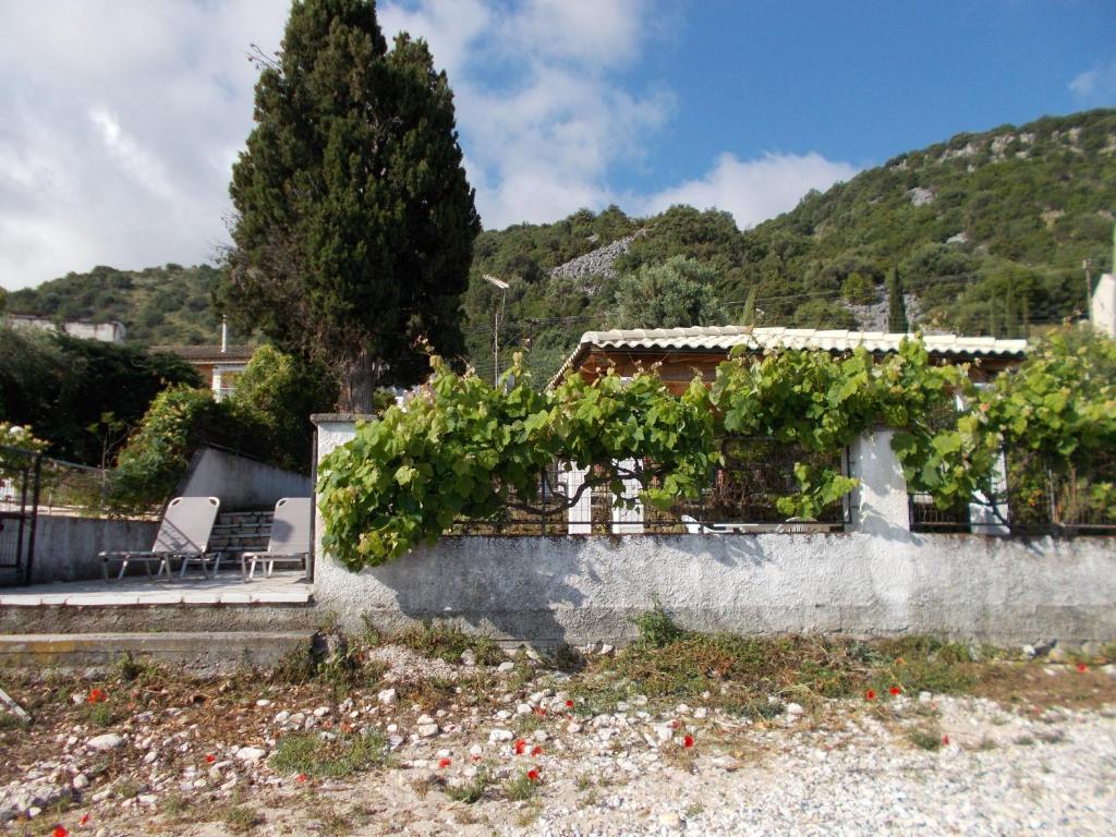 Eva apartments, Kassiopi, Imerolia, Imerolia Beach in front of the apartments yard 6